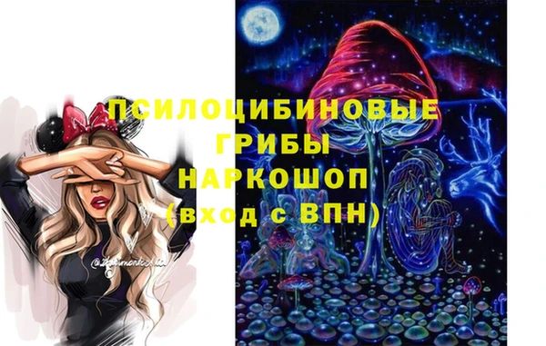 спиды Алексин