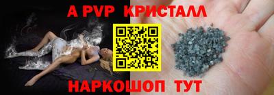 твердый Кингисепп