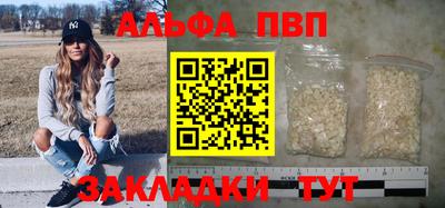 твердый Кингисепп